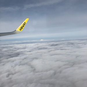 Meet your Posher, Sydney